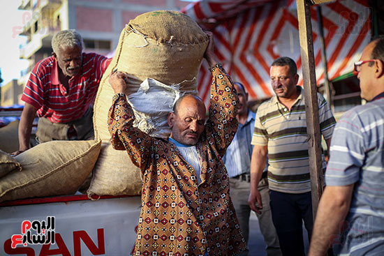 بلح رمضان (8)