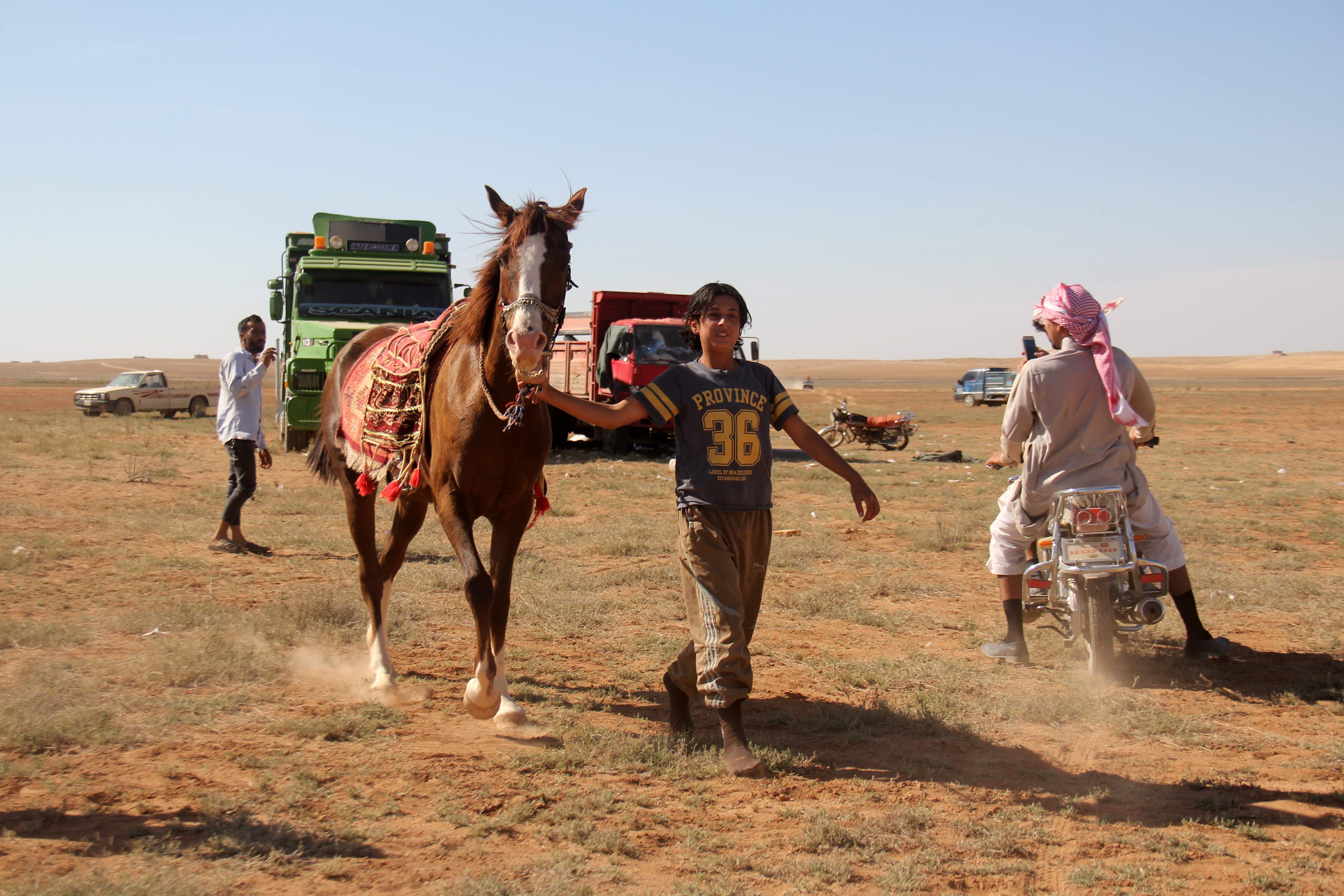 متسابق يستعد لانطلاق سباق الخيول فى سوريا