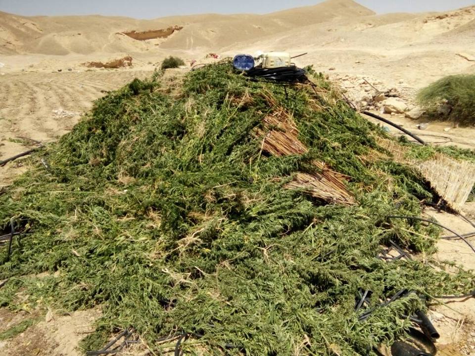 المتحدث العسكرى (2)