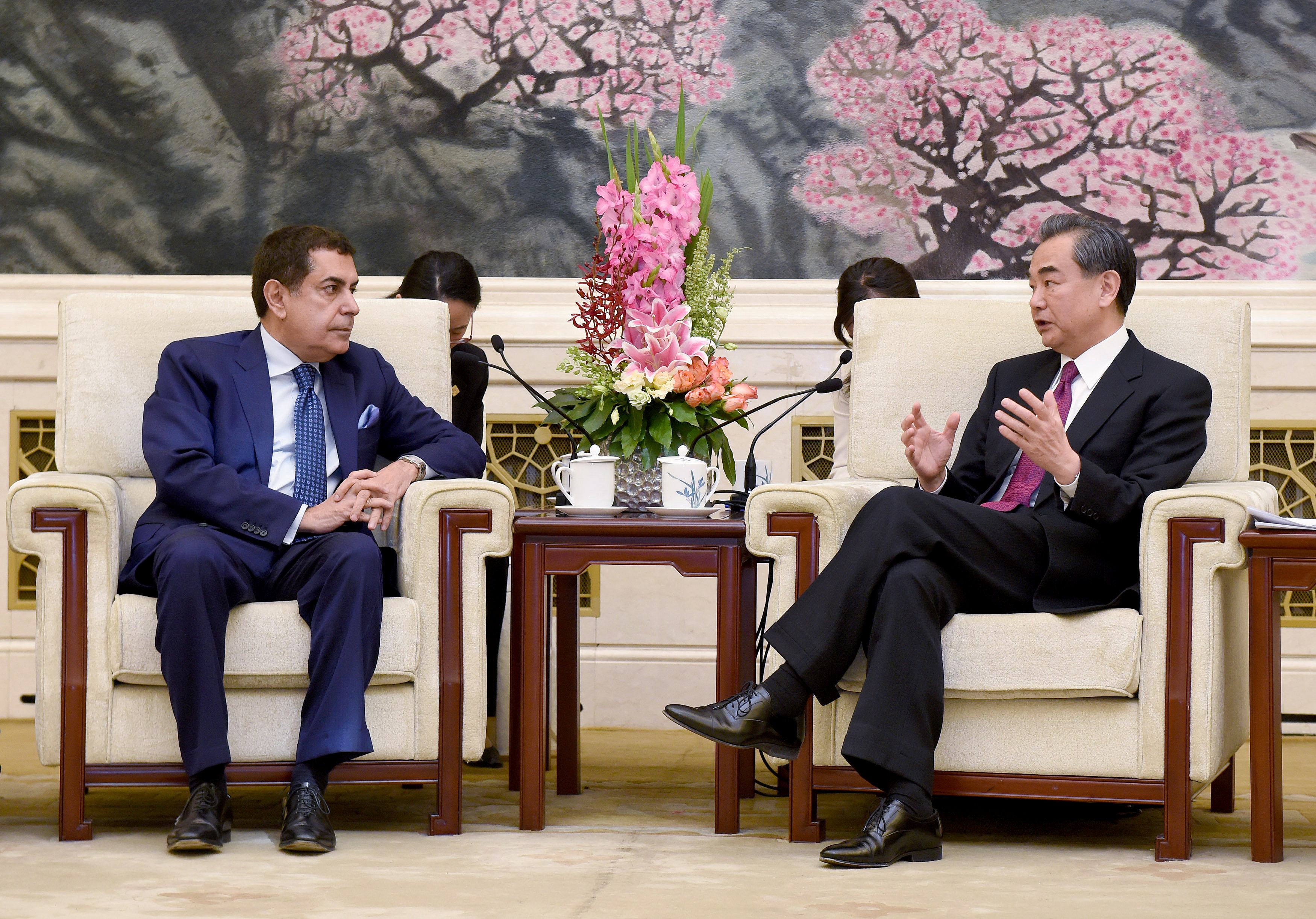 وزير الخارجية الصينى يلتقى ممثل تحالف الأمم المتحدة للحضارات