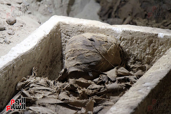 اكتشاف أول مقبرة فى تاريخ مصر الوسطى تضم 18 مومياء بالمنيا (4)