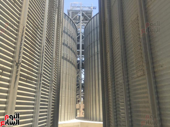     خليا الصومعة