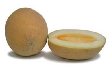 شمام إسرائيلى بطعم الاناناس