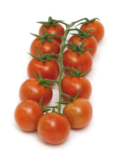 طماطم إسرائيلى بطعم ولون الجزر