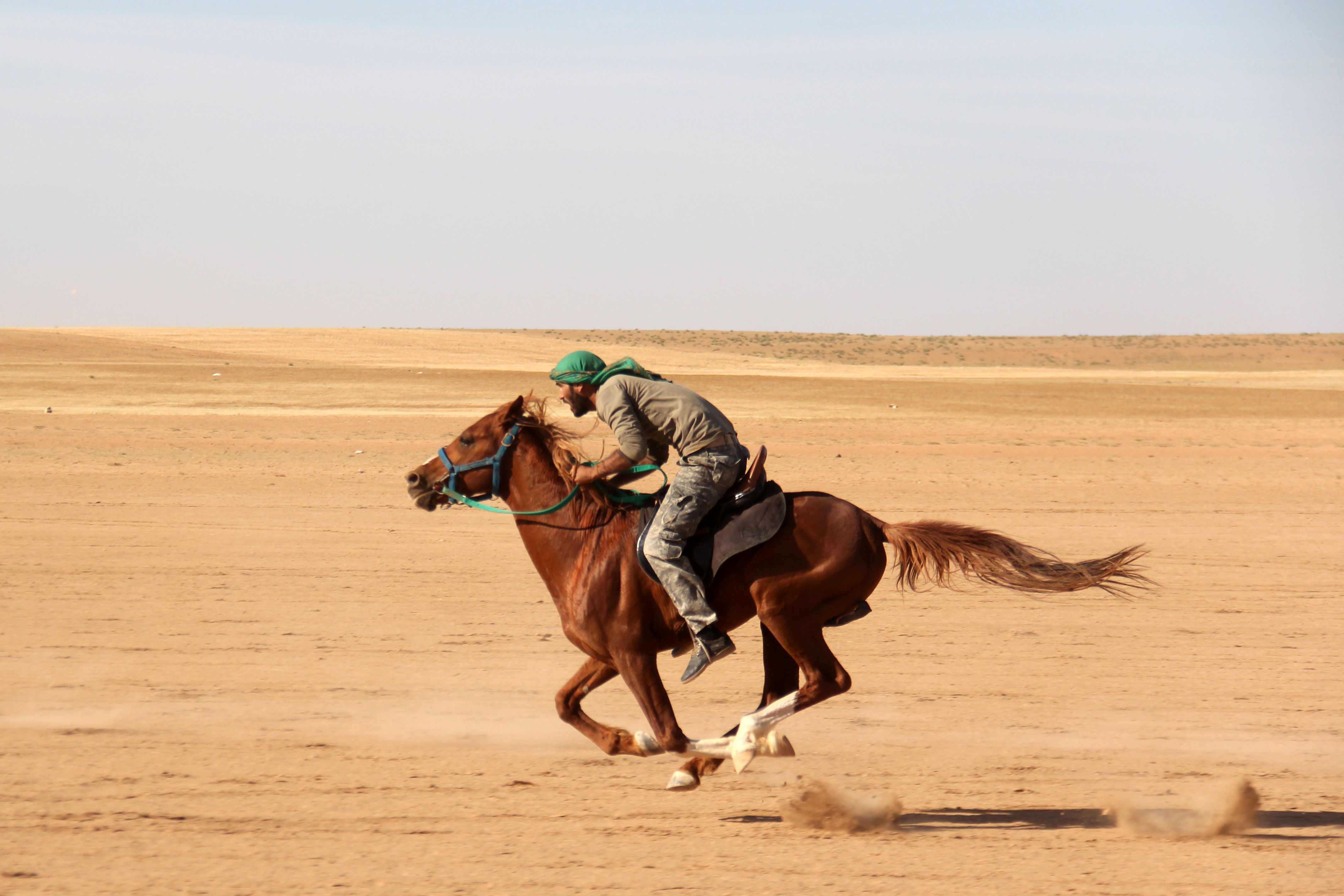منظمة تركية غير حكومة تنظم سباق خيول فى سوريا