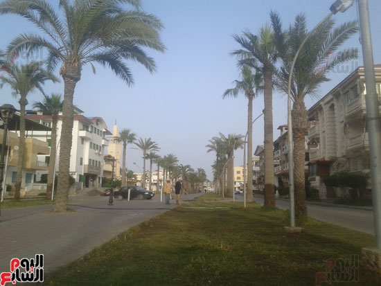 شارع المديرية براس البر