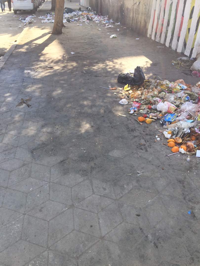 جانب من تراكم القمامة بشارع الهرم
