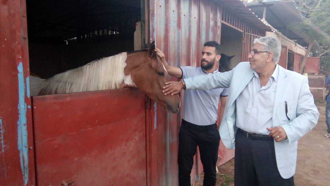 باسم مرسى يداعب الخيول أثناء افتتاح الأكاديمية