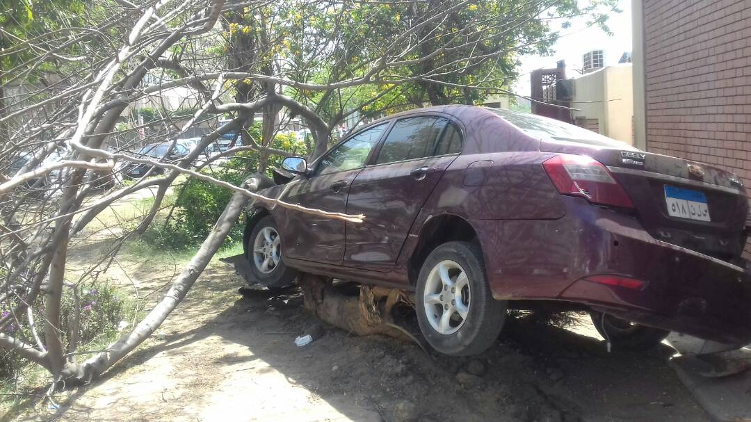 سيارة تتجاوز الجزيرة الوسطى و تصطدم بشجرة