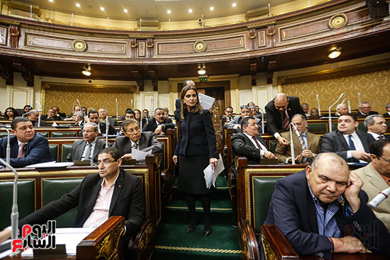 مجلس النواب البرلمان (7)