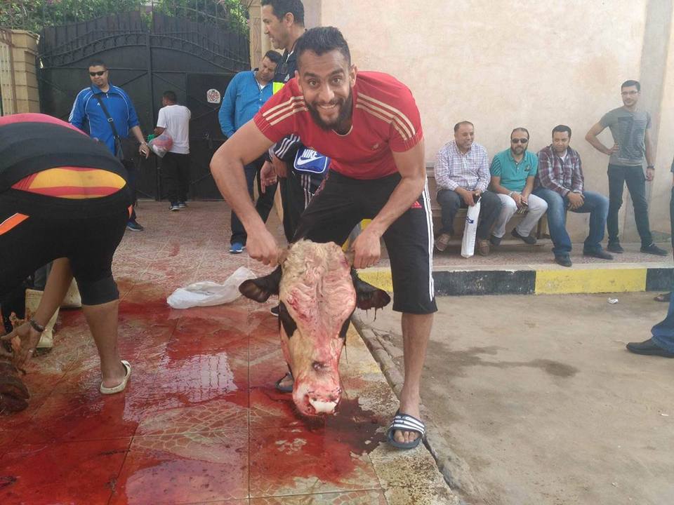 بلدية المحلة  يذبح عجل