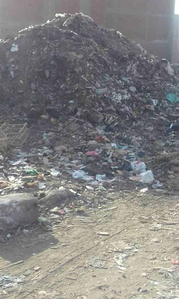 تلال القمامة المتراكمة فى بشتيل (2)