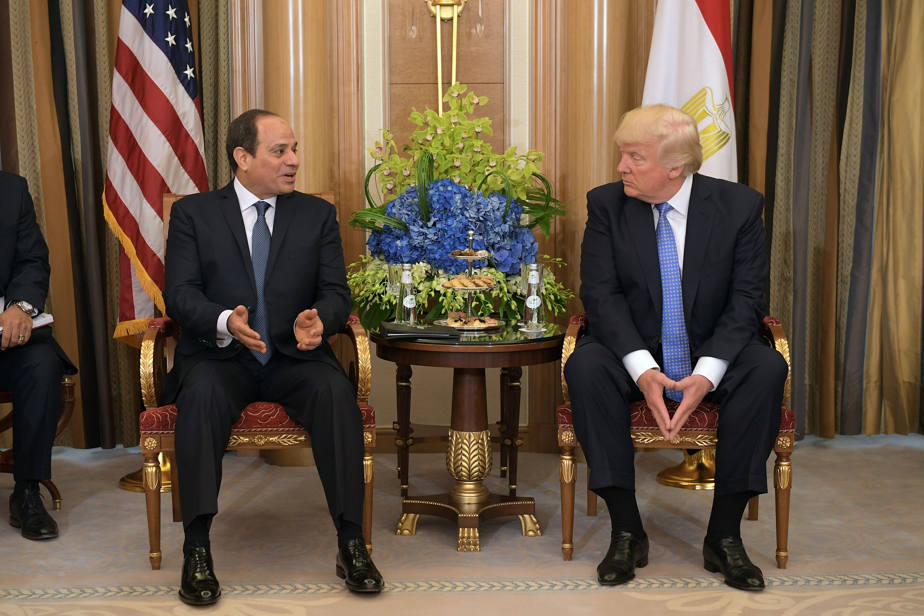 السيسى وترامب (3)