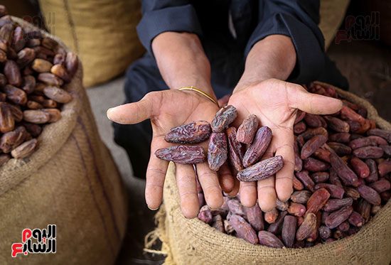 سوق البلح (4)