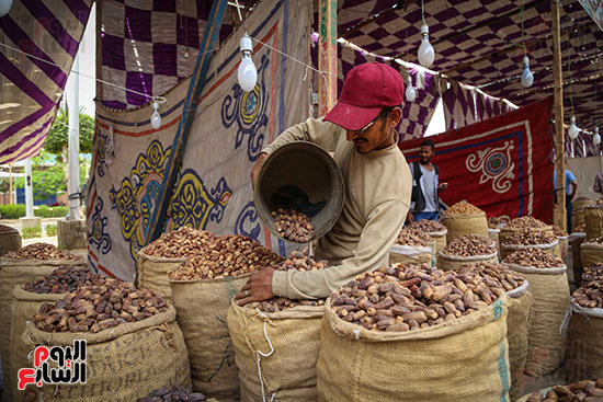 سوق البلح (3)