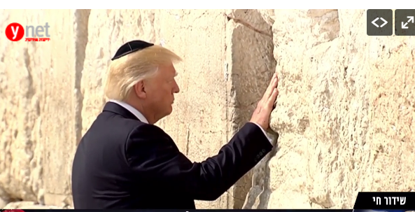 دونالد ترامب