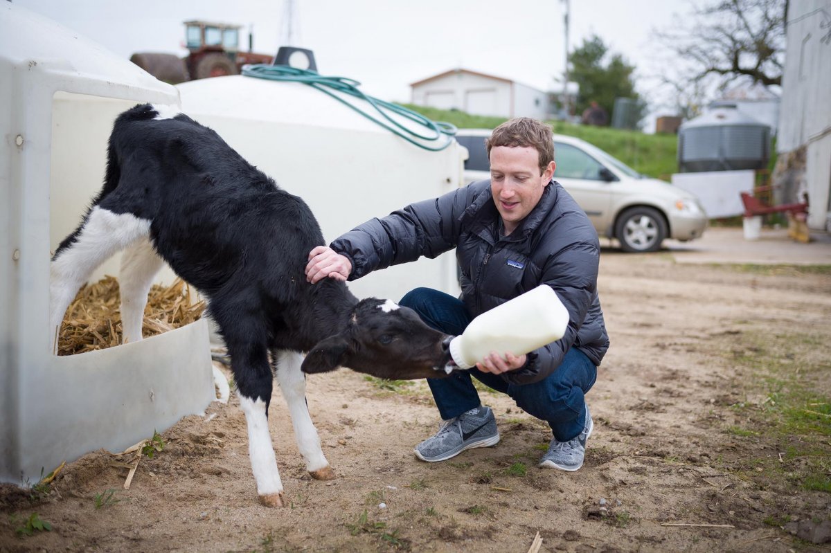 مؤسس فيس بوك يطعم الحيوانات