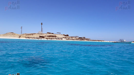 جزيرة الجفتون التى يقع عليها شاطئ محمية 