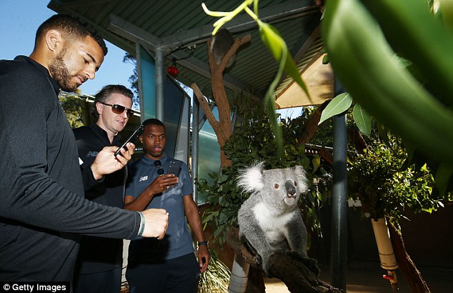 لاعب ليفربول يلتقط صورة مع الكوالا