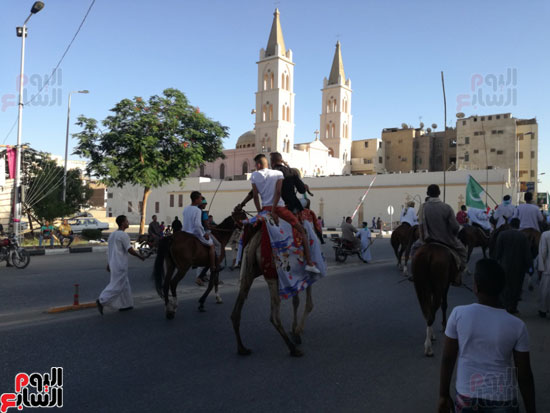 الخيول والجمال تعانق الكنائس في دورة رمضان