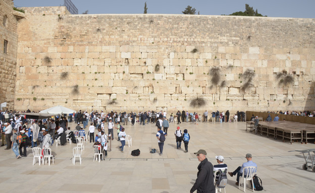 اليهود امام حائط البراق بالاقصى