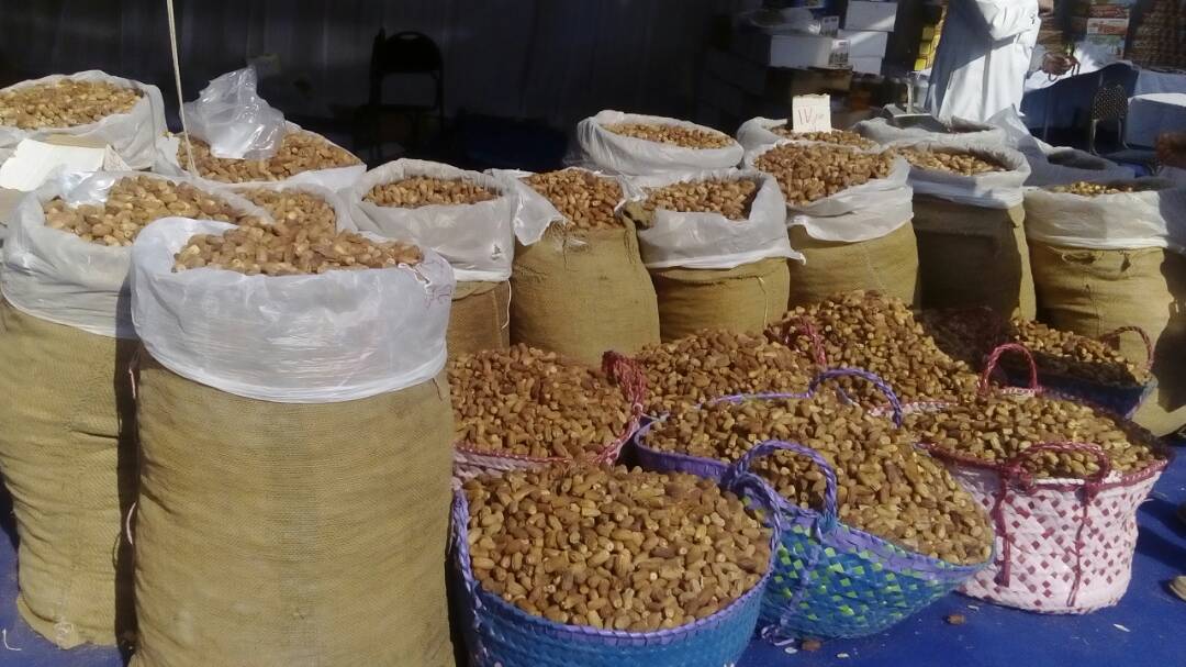 البلح داخل المعرض البلح داخل المعرض