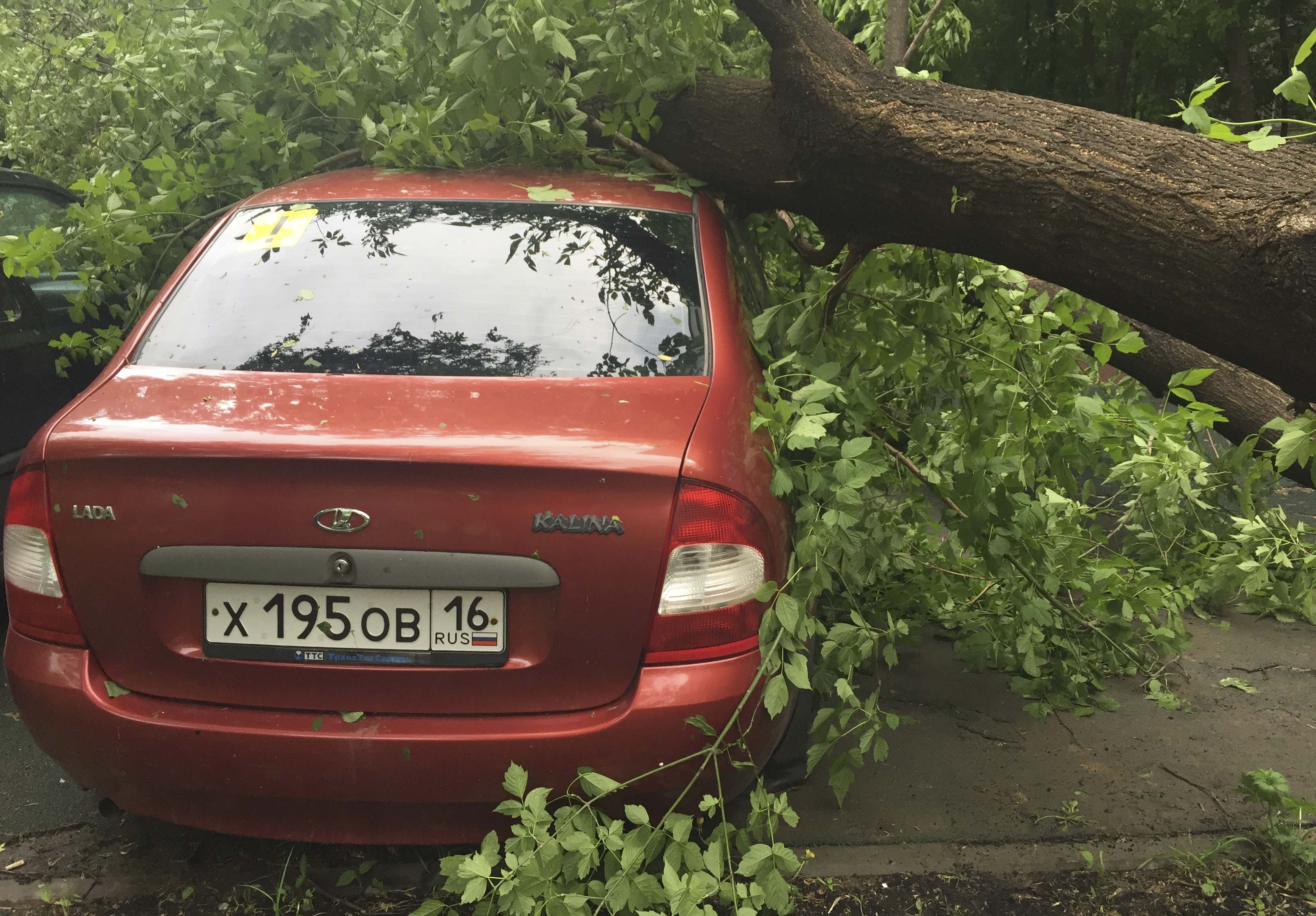 سقوط شجرة على سيارة فى موسكو بسبب العاصفة