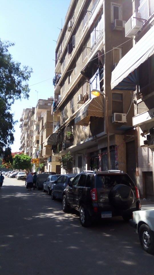 الأعمدة المضاءة نهارا فى شارع محمد شكرى (1)