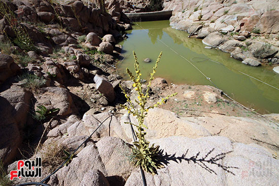  بحيرة صناعية لحجز مياه السيول