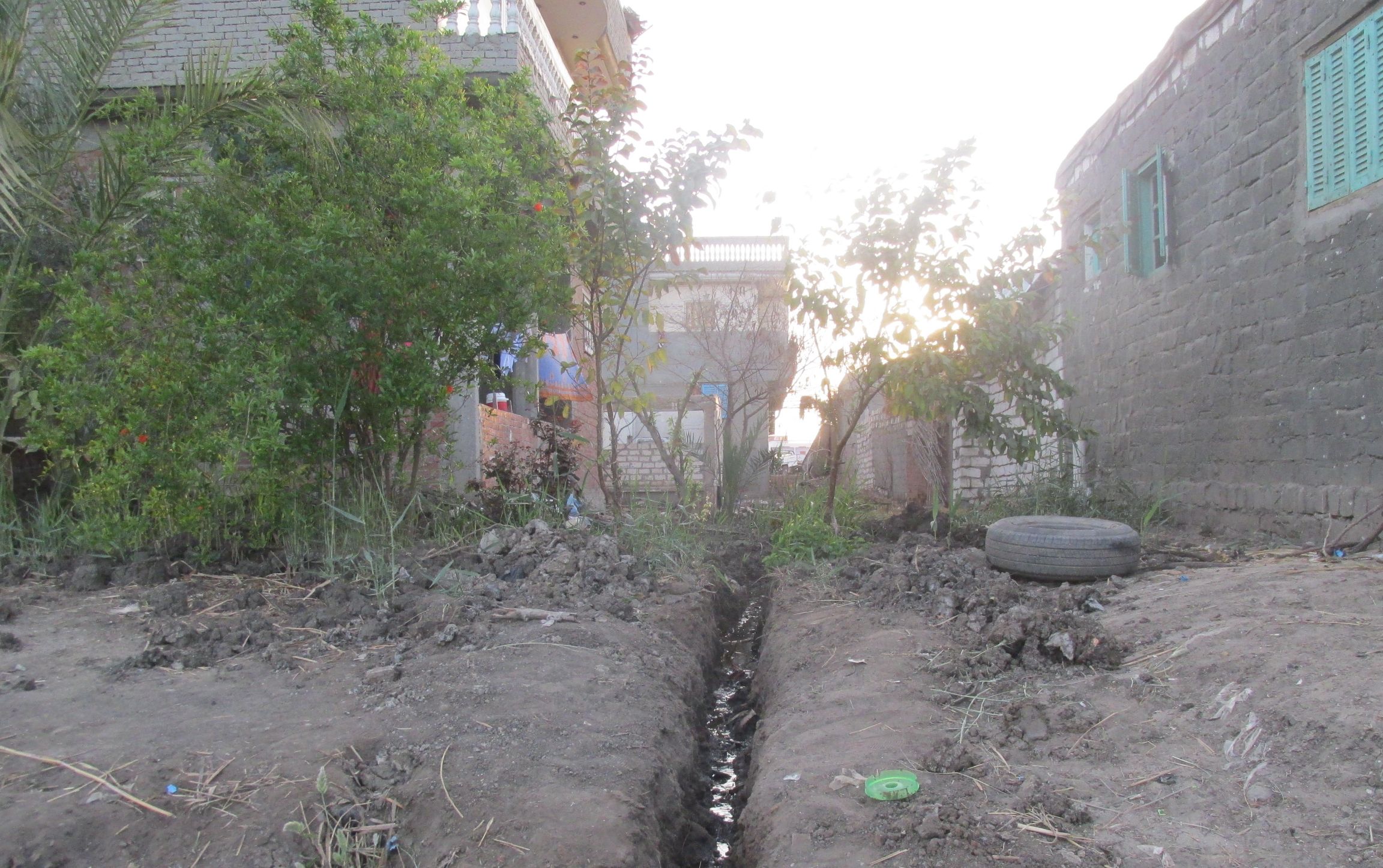 طفل مصاب بالتهاب الكليتين ببورسعيد (4)