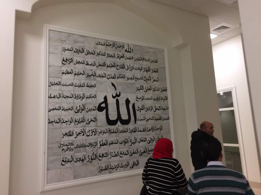 سياتل 6 سياتل 6
