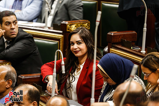 مجلس النواب البرلمان (16)