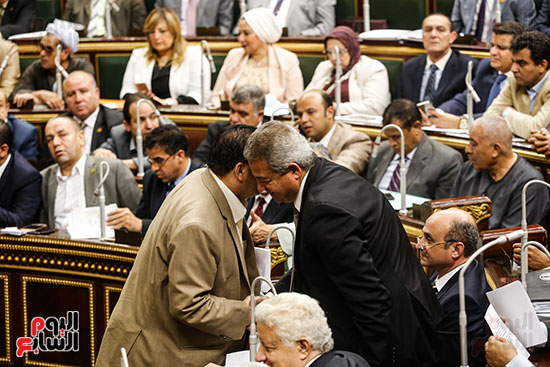 مجلس النواب البرلمان (17)