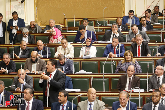 الجلسة العامة مجلس النواب (11)