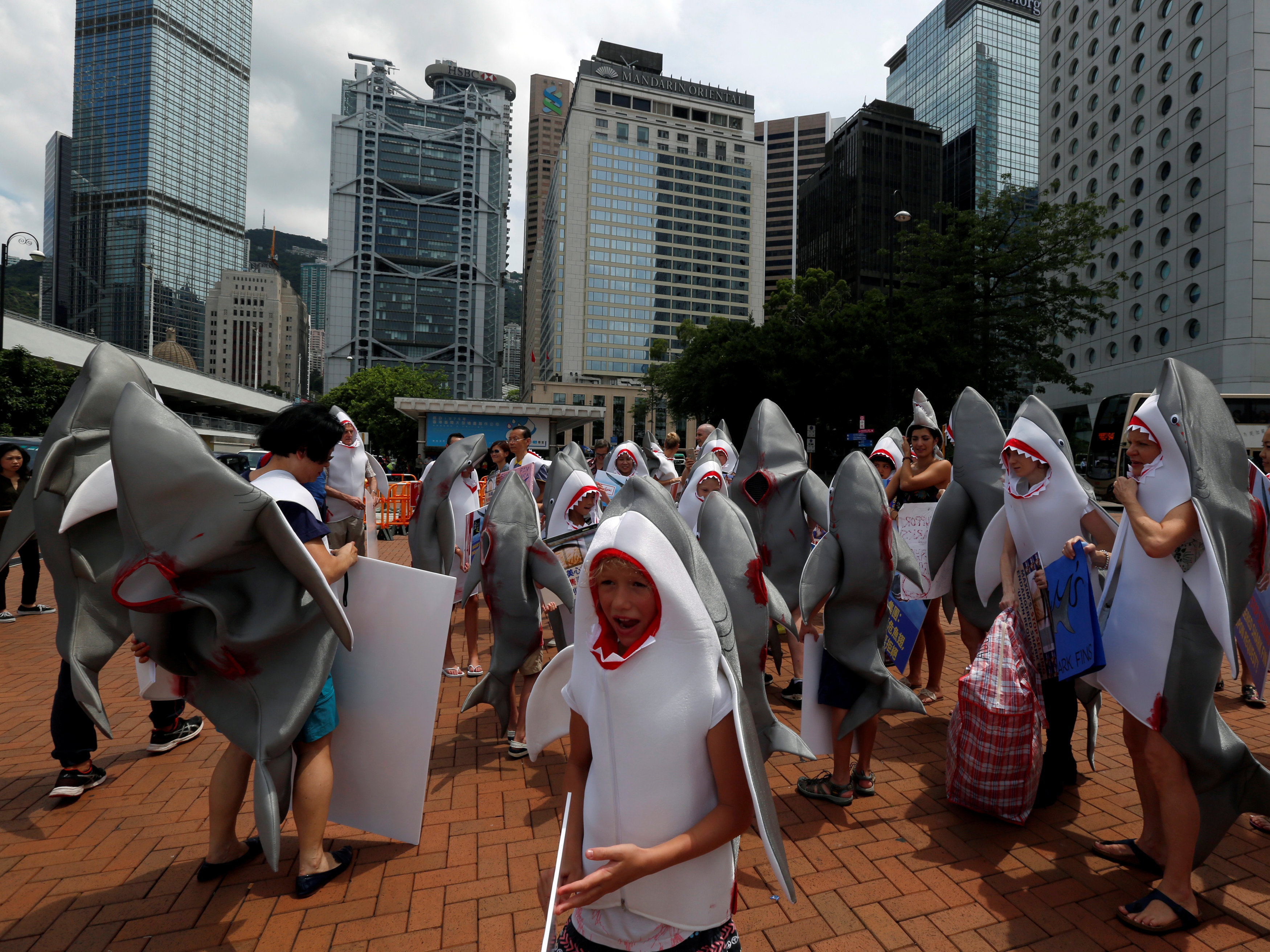 مظاهرات فى هونج كونج لرفض حساء زعانف الأسماك