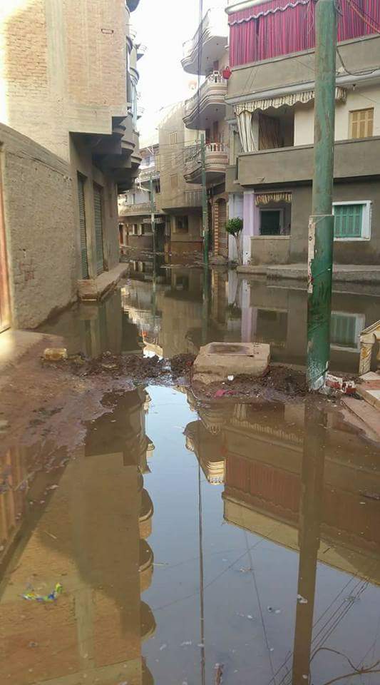 الصرف الصحى يغرق شوارع قرية عياش فى الغربية