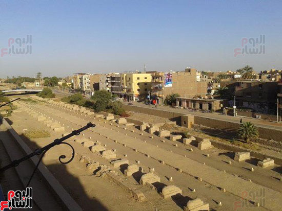 4-   طريق الكباش الفرعونى سحر الملوك من الكرنك للأقصر