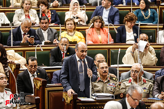 الجلسة العامة للبرلمان (3)