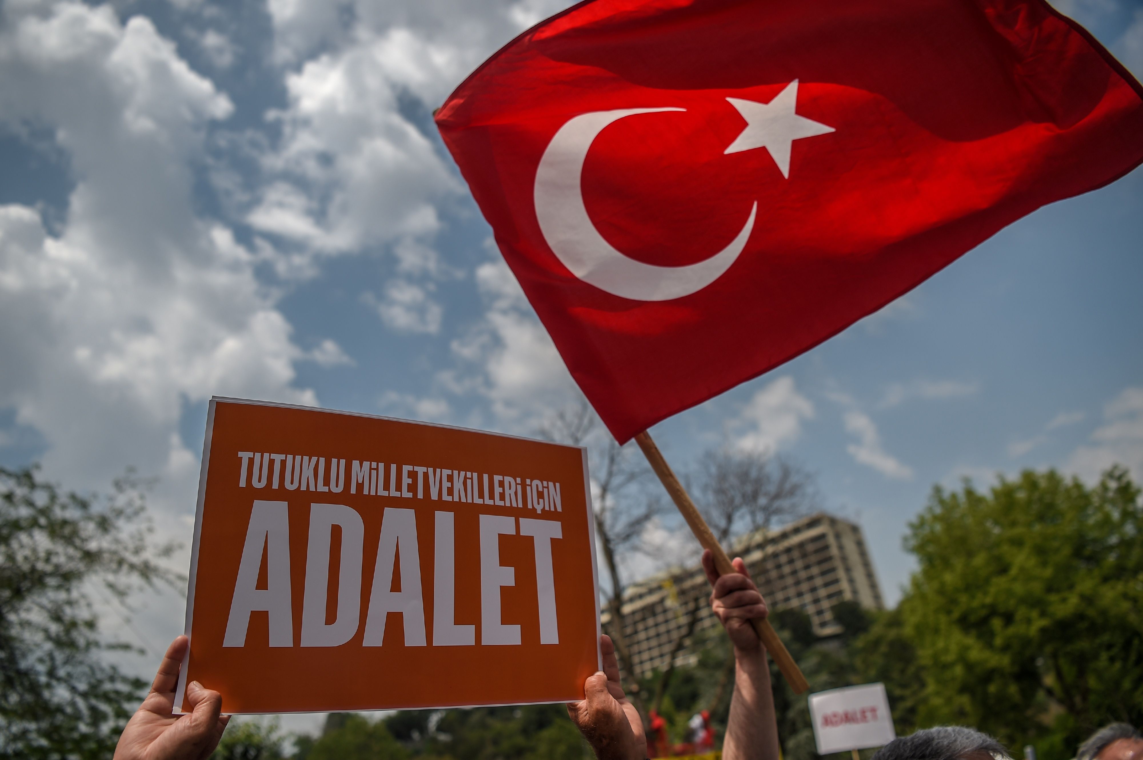 متظاهر يرفع العلم التركى خلال الاحتجاجات