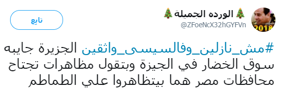 الوردة الجميلة