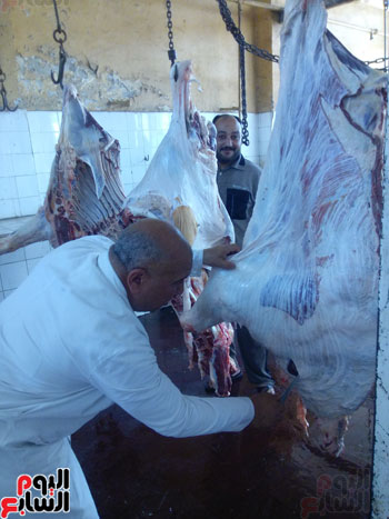 مدير مجزر كفر الشيخ يجرى الكشف على اللحوم
