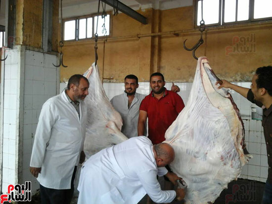 جانب من عمليات الكشف على اللحوم بمجزر كفر الشيخ
