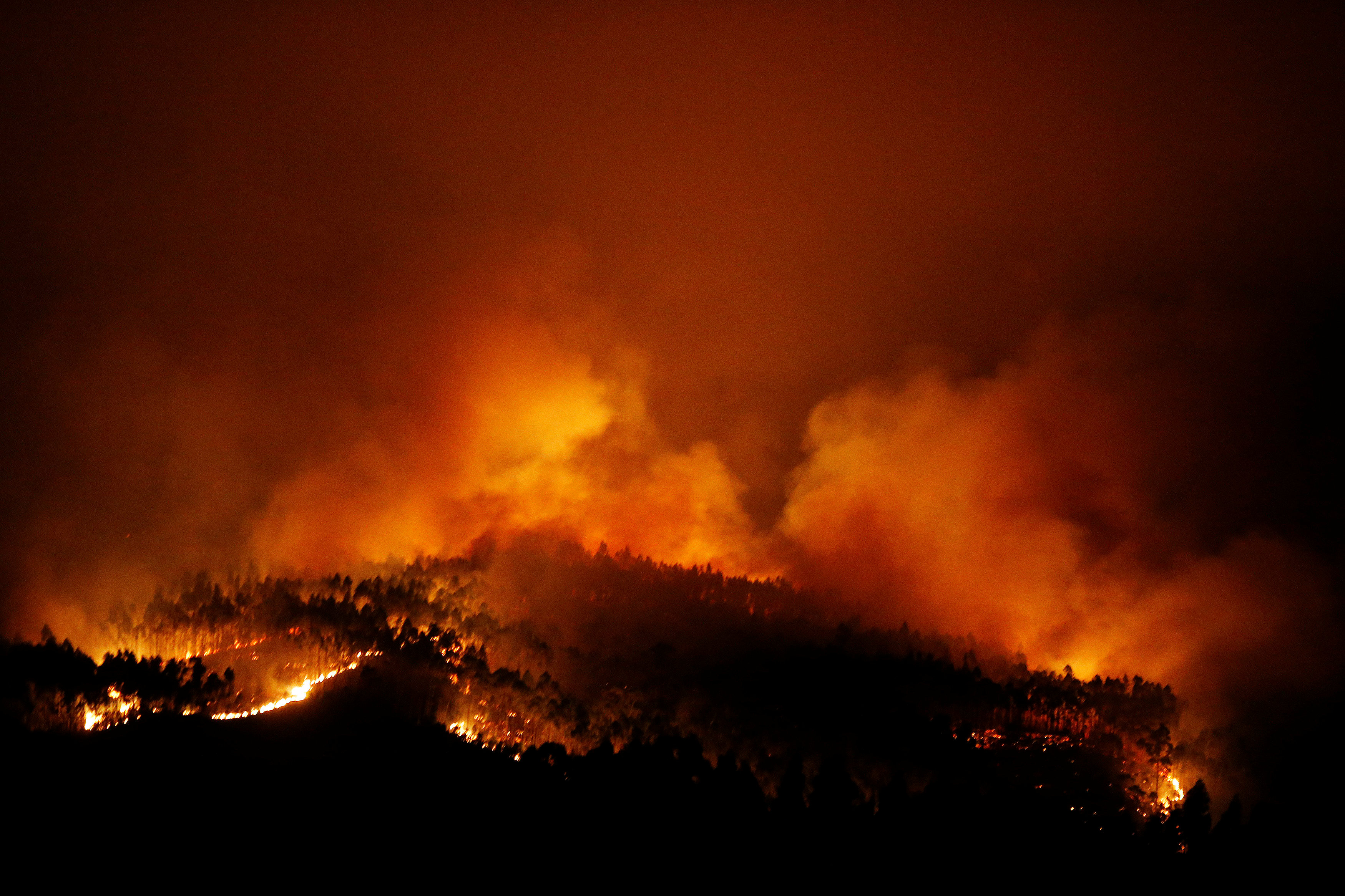 استمرار حرائق الغابات فى البرتغال