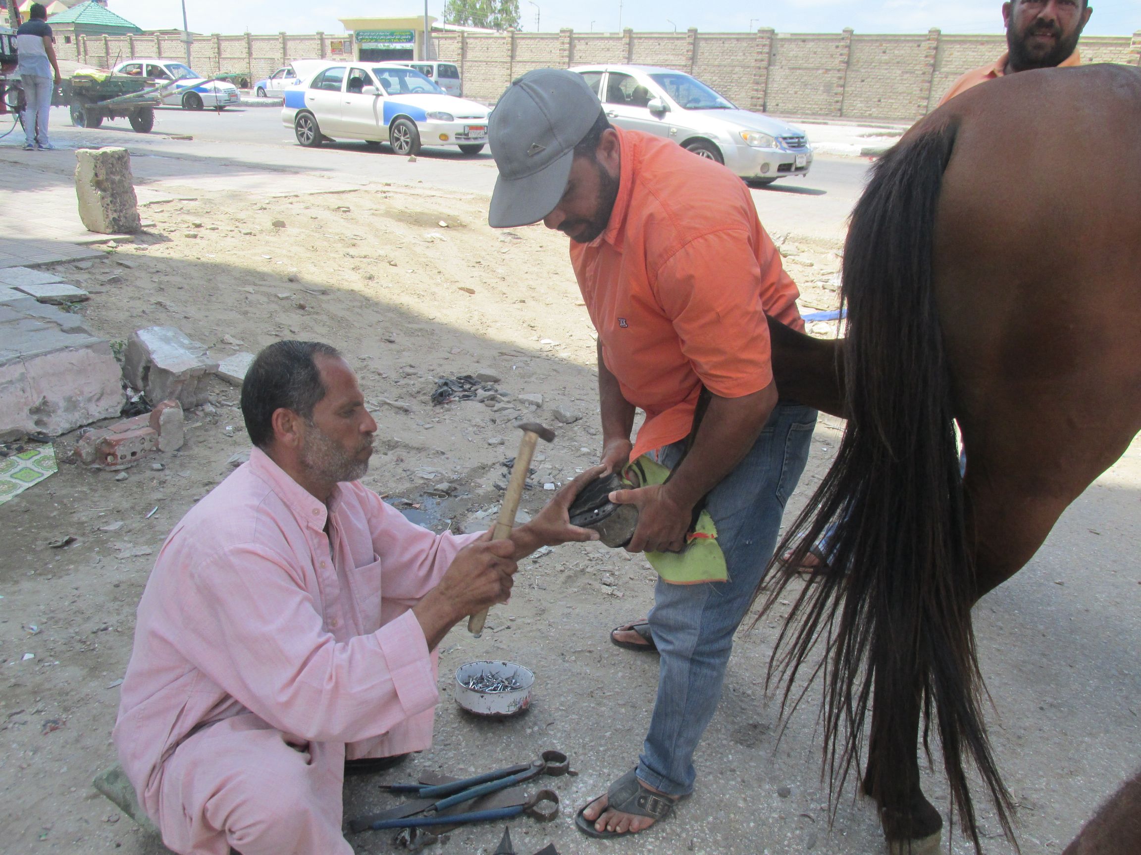  تركيب الحدوة بعد عملية القياس