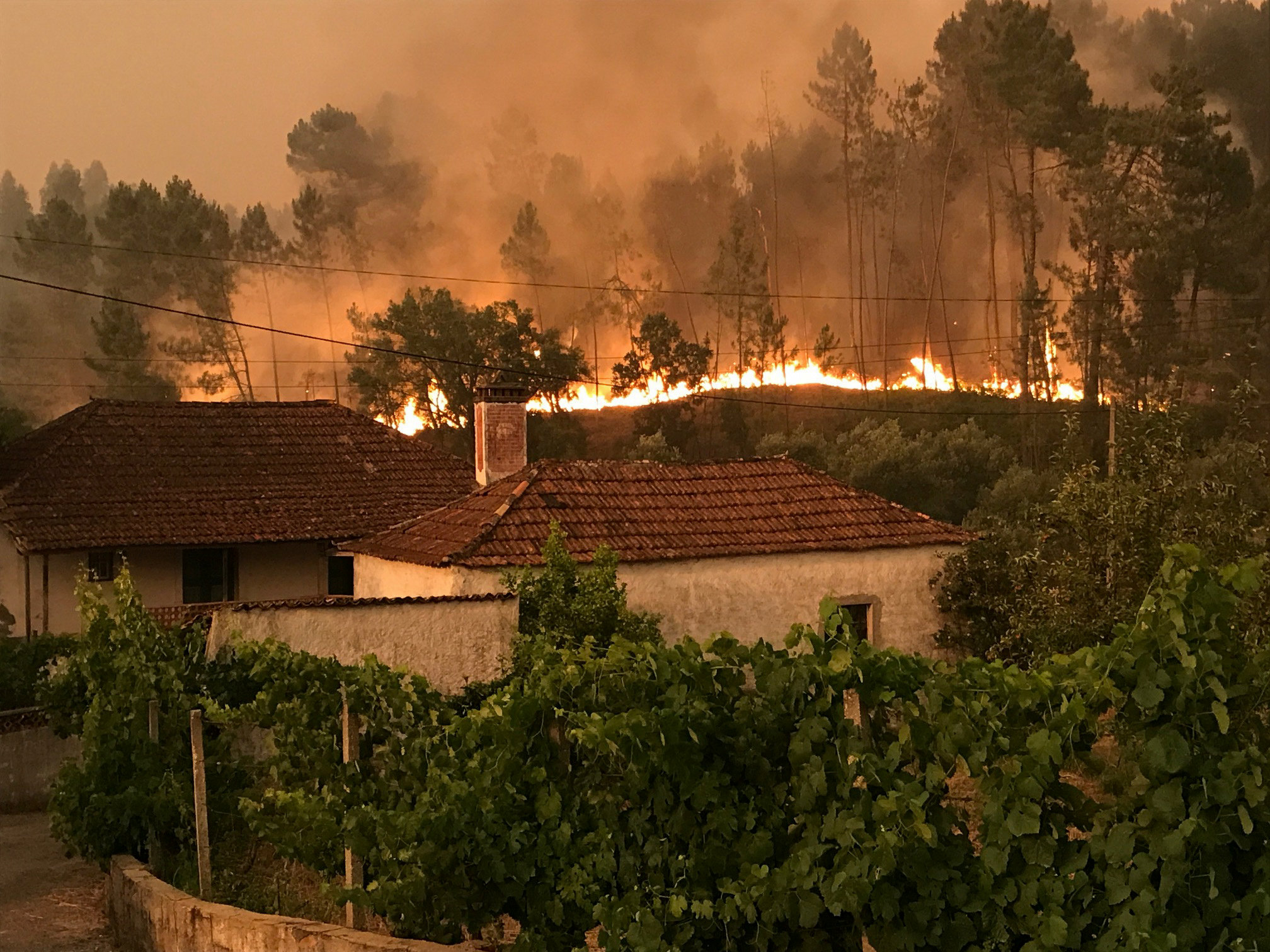 حرائق الغابات تقترب من المنازل