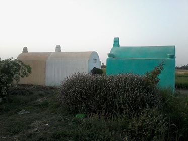 مقابر على أراضى زراعية بعزبة ابو شايب بمركز بسيون