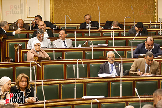 الجلسة العامة - مجلس النواب (5)