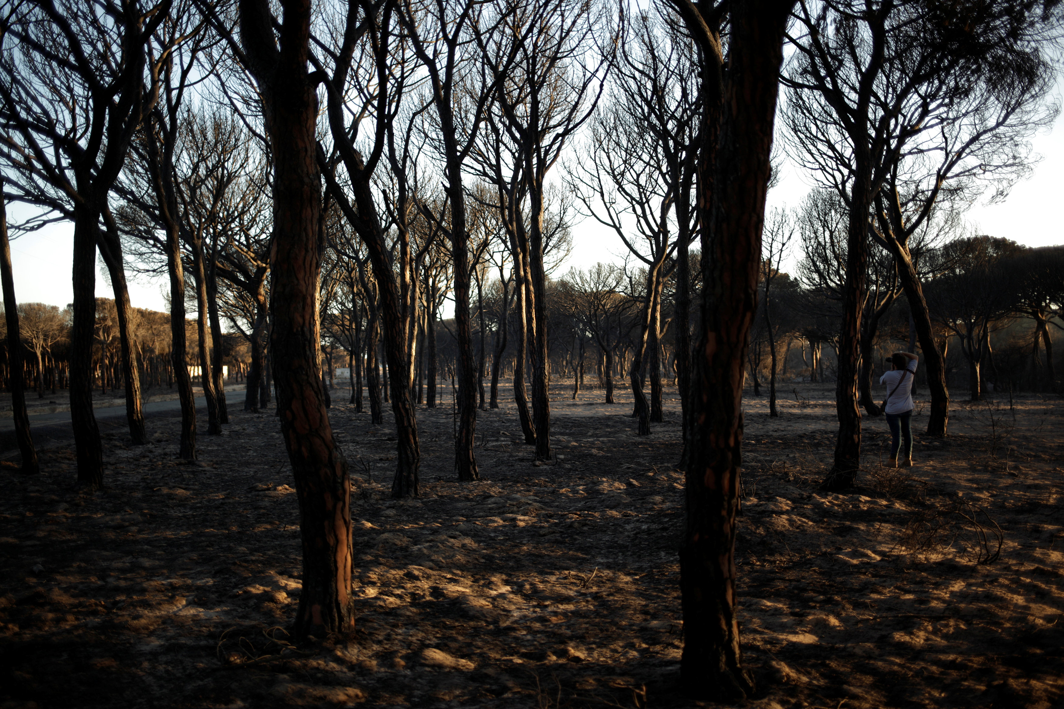 اسبانيا تواجه حريقا قرب محمية مهددة بالانقراض
