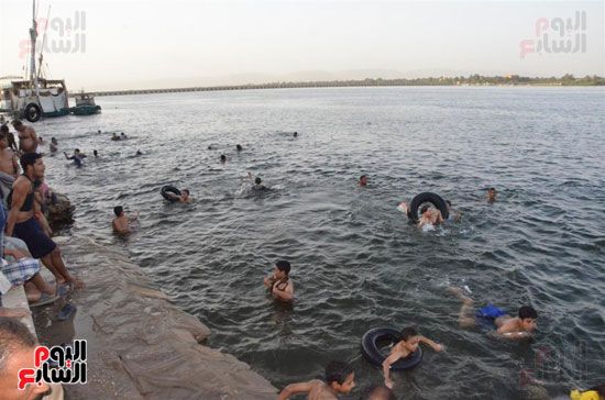 النيل يشهد تجمعات يومية بالاقصر