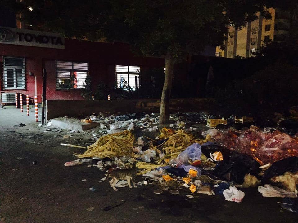 القمامة فى شوارع سموحة (2)